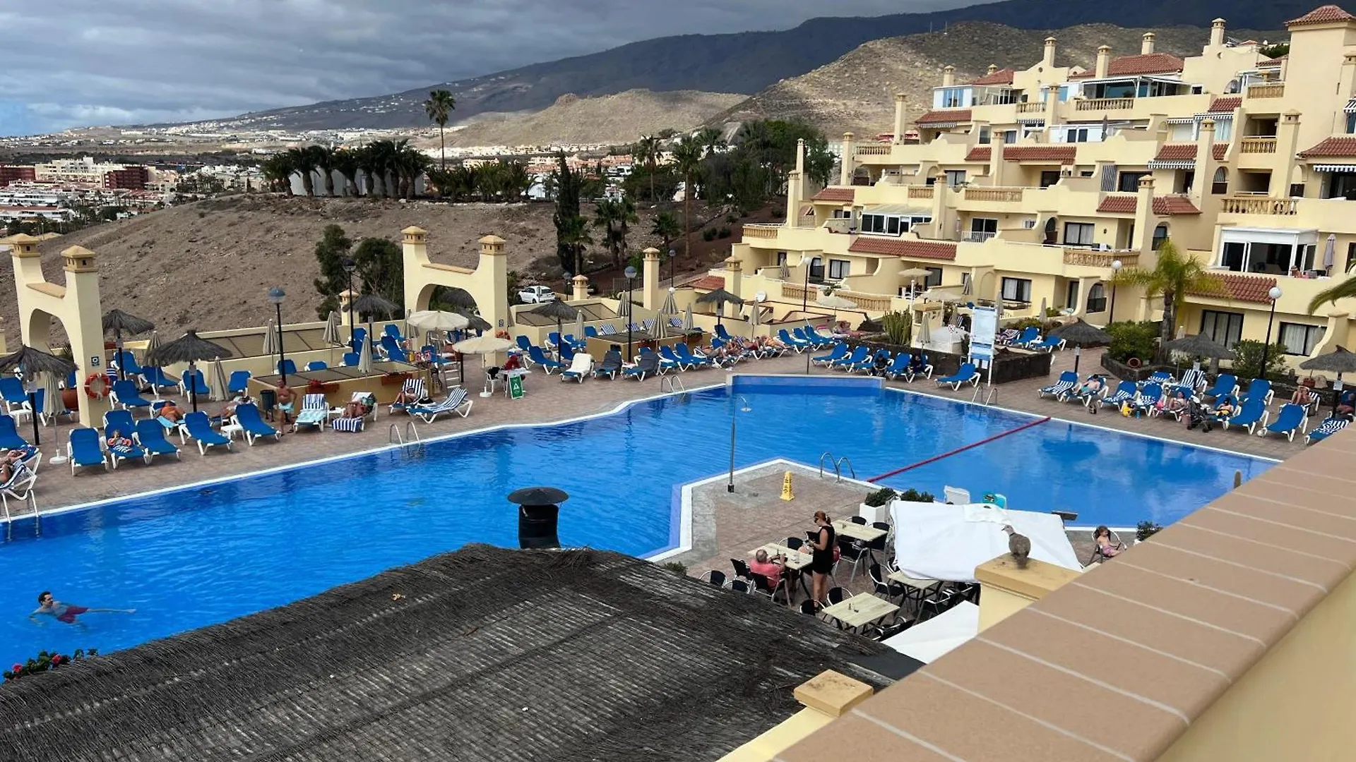 Torviscas Fantastic Apartment With Pool And Private Terrace Costa Adeje   Costa Adeje (Tenerife)